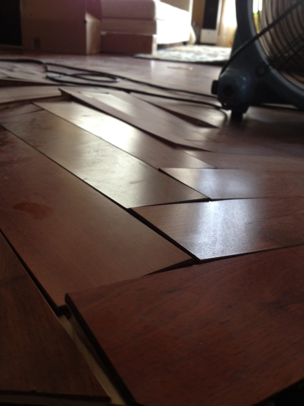 Water Damaged Engineered Wood Floor Puritan Restoration