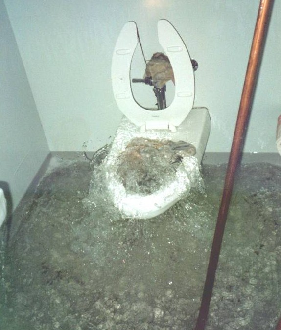 Toilet Backup