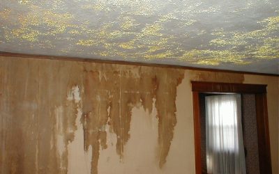 Top 4 Causes Of Attic Mold!