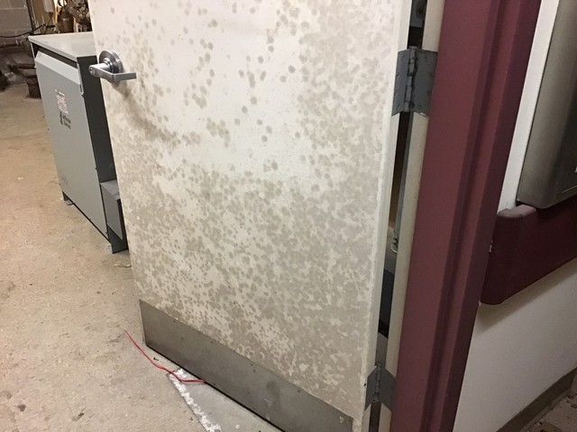Bleach Is Not An Effective Mold Removal Solution!