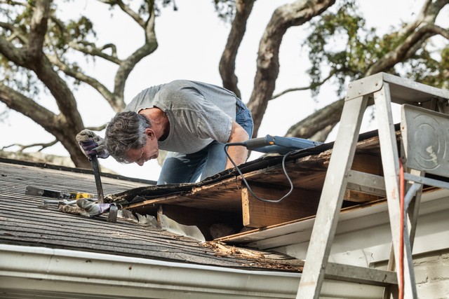 Inspect Your Roof and Attic