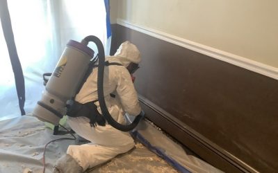 Selecting A Mold Removal Contractor!