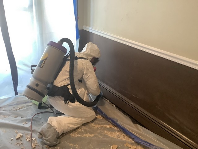 Selecting A Mold Removal Contractor!