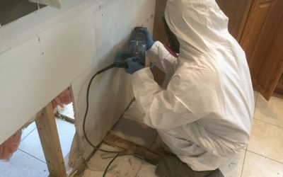 Basement Mold Prevention Tips!