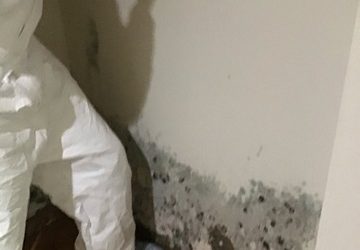 Mold In Your Rental!