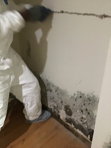 Mold In Your Rental!