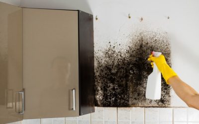 Killing Mold Is Not The Answer!