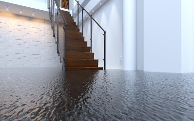 Top 25 Tips After A Flood!