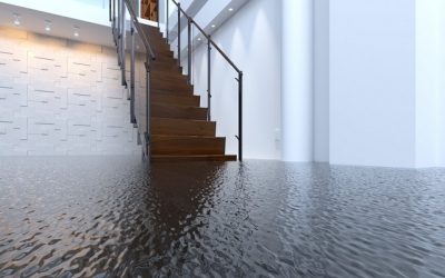 Top 10 Questions About Water Damage!