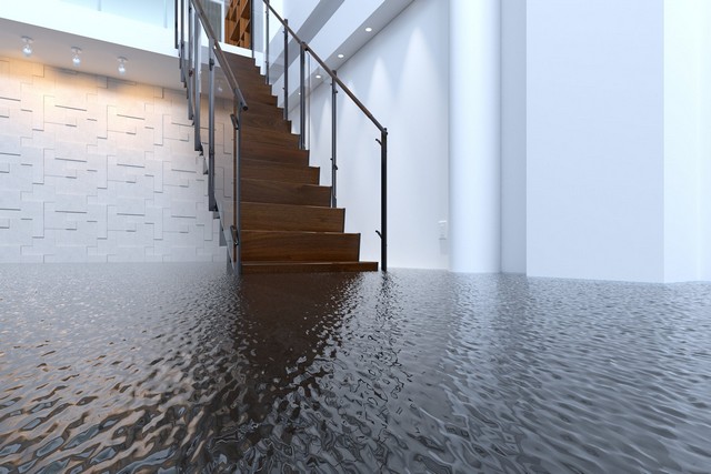 Top 10 Questions About Water Damage!
